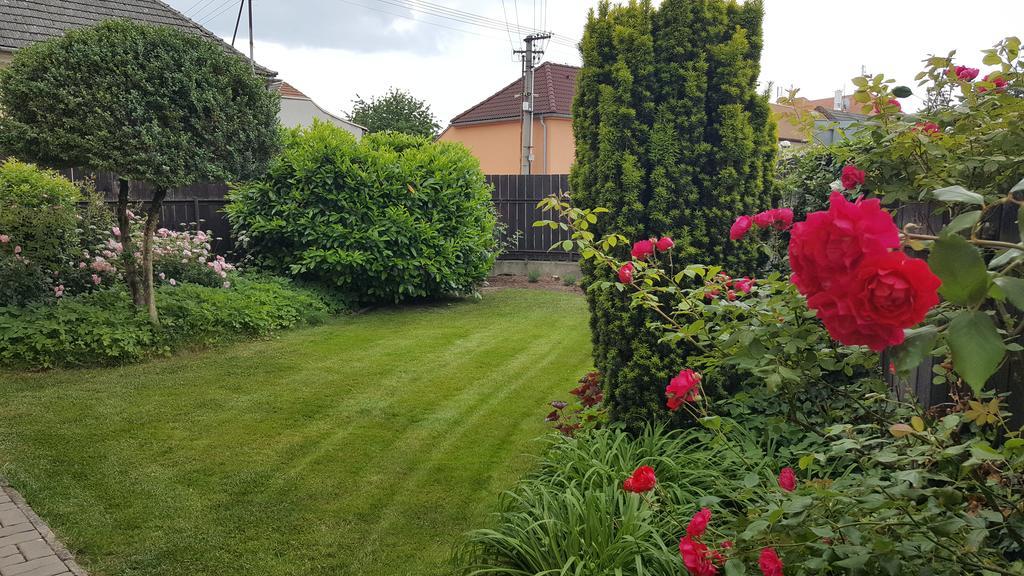 Villa Rozarka Stare Mesto  Exteriér fotografie